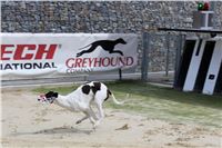 Bookmakers_Cup_Ceska_Greyhound_Dostihova_Federace_IMG_3816.JPG