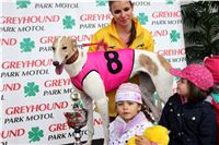 1-Greyhound_Race_A_BK__Greyhound_Park_Motol_Prague_IMG_4208.jpg