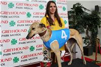 2-Greyhound_Race_B_BK_Greyhound_Park_Motol_Prague_IMG_4150.jpg