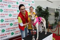 Absolut_Greyhound_cup_Greyhound_Park_Motol_IMG_5042.jpg