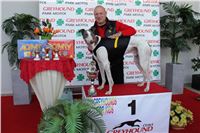 2_Greyhound_For_Kids_Park_Motol_Praha_IMG_5334.jpg