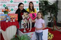 4_Greyhound_For_Kids_Park_Motol_Praha_IMG_5438.jpg