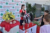 Red_Mills_Cup_2014_Greyhound_Park_Motol_CGDF_dostihy_chrtu_2140607_093_SQ.jpg