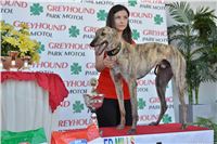 Red_Mills_Cup_2014_Greyhound_Park_Motol_CGDF_dostihy_chrtu_2140607_125_SQ.jpg