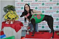 Red_Mills_Cup_2014_Greyhound_Park_Motol_CGDF_dostihy_chrtu_2140607_159_SQ.jpg