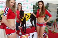 2. Grand_Prix_Greyhound_Park_Motol_Prague_IMG_5880.JPG