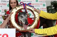 4-Grand_Prix_Greyhound_Park_Motol_Prague_-IMG_5627.jpg