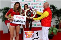 Grand_Prix_Greyhound_Park_Motol_Prague_IMG_5629.JPG