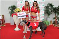 Grand_Prix_Greyhound_Park_Motol_Prague_IMG_5636.JPG