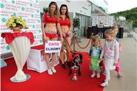 Grand_Prix_Greyhound_Park_Motol_Prague_IMG_5651.JPG