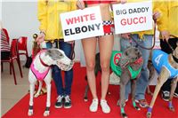 Grand_Prix_Greyhound_Park_Motol_Prague_IMG_5677.JPG