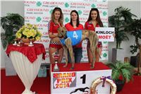 Grand_Prix_Greyhound_Park_Motol_Prague_IMG_5727.JPG