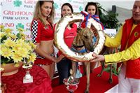 Grand_Prix_Greyhound_Park_Motol_Prague_IMG_5738.jpg