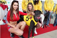 Grand_Prix_Greyhound_Park_Motol_Prague_IMG_5837.JPG