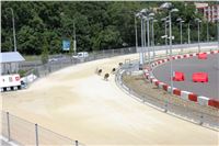 Grand_Prix_Greyhound_Park_Motol_Prague_IMG_5843.JPG