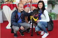 Grand_Prix_Greyhound_Park_Motol_Prague_IMG_5946.JPG