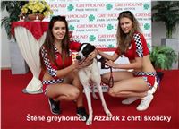 Grand_Prix_Greyhound_Park_Motol_Prague_IMG_6031.JPG Grand_Prix_Greyhound_Park_Motol_Prague_IMG_6031.jpg