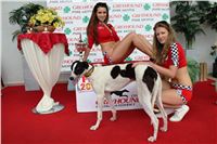 Grand_Prix_Greyhound_Park_Motol_Prague_IMG_6034.JPG