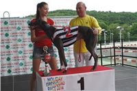 2-Holiday_Greyhound_Park_DSC03317.jpg