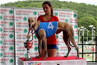 3-Holiday_Greyhound_Park_IMG_7480-v.jpg