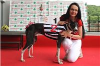 4. Holiday_Greyhound_Park_IMG_7530.JPG