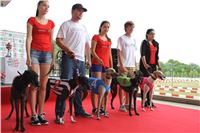 6-Holiday_Greyhound_Park_IMG_7442.jpg