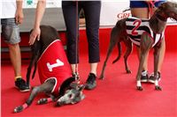 Holiday_Greyhound_Park_DSC03314.JPG