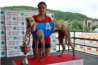 Holiday_Greyhound_Park_DSC03332.JPG