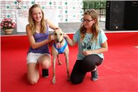 Holiday_Greyhound_Park_DSC03337.JPG