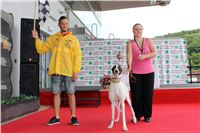 Holiday_Greyhound_Park_IMG_7344.JPG