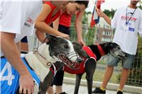 Holiday_Greyhound_Park_IMG_7387.JPG