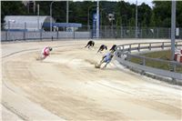 Holiday_Greyhound_Park_IMG_7459.JPG