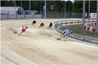 Holiday_Greyhound_Park_IMG_7460.JPG