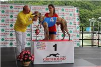 Holiday_Greyhound_Park_IMG_7478.JPG