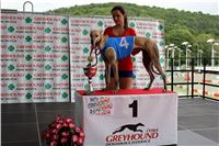 Holiday_Greyhound_Park_IMG_7480.JPG