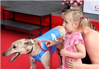 Holiday_Greyhound_Park_IMG_7493.JPG