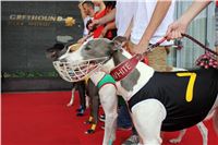 Holiday_Greyhound_Park_IMG_7504.JPG