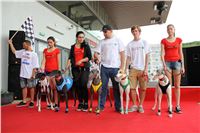 Holiday_Greyhound_Park_IMG_7506.JPG