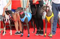 Holiday_Greyhound_Park_IMG_7508.JPG