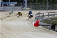 Holiday_Greyhound_Park_IMG_7517.JPG