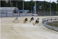 Holiday_Greyhound_Park_IMG_7518.JPG