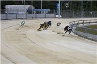 Holiday_Greyhound_Park_IMG_7519.JPG