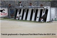 Chrti_trenink_Greyhound_Park_Motol_CGDF_IMG_7605.JPG