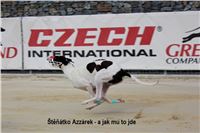 Chrti_trenink_Greyhound_Park_Motol_CGDF_IMG_7610.JPG