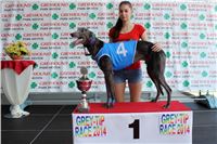 Dostihy_chrtu_Grey-TiP_Greyhound_Park_Motol_IMG_8235.jpg