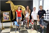 dostihy_chrtu_Grey-TiP_Greyhound_Park_Motol_IMG_8217.JPG