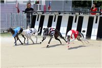 dostihy_chrtu_Grey-TiP_Greyhound_Park_Motol_IMG_8225.JPG