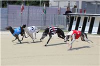 dostihy_chrtu_Grey-TiP_Greyhound_Park_Motol_IMG_8226.JPG