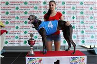 dostihy_chrtu_Grey-TiP_Greyhound_Park_Motol_IMG_8234.JPG