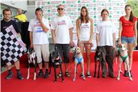 dostihy_chrtu_Grey-TiP_Greyhound_Park_Motol_IMG_8274.JPG